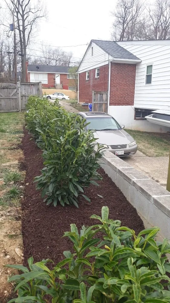 Affordable yard maintenance with custom design in Gaithersburg, MD by Lopez Landscaping & Construction
