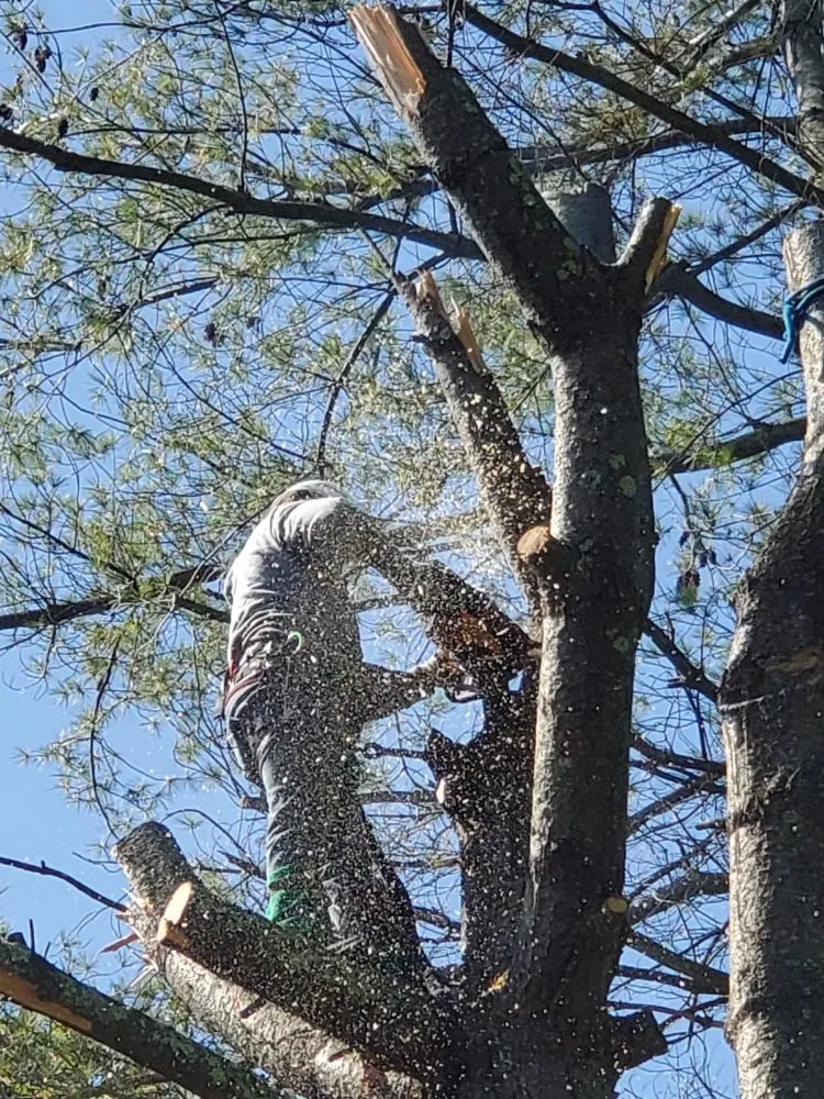 Reliable lawn care service experts serving Gaithersburg, MD - Lopez Landscaping & Construction