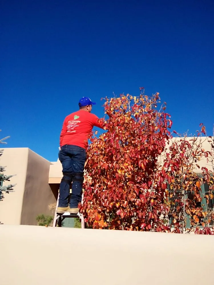 Custom landscaping services for year-round maintenance across Santa Fe, NM - Lopez Landscaping & Design