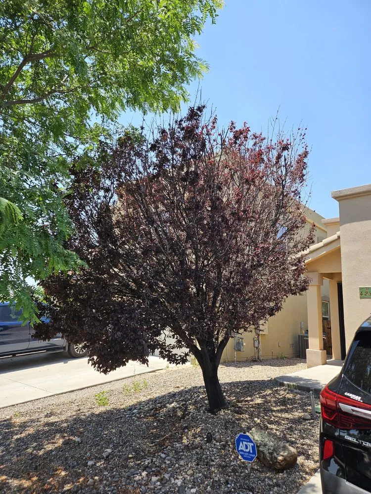 Expert landscape installation in Santa Fe, NM - Lopez Landscaping & Design