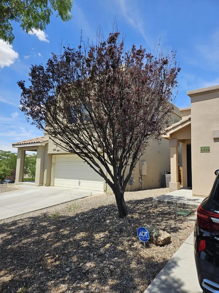 Local yard cleanup service in Santa Fe, NM by Lopez Landscaping & Design