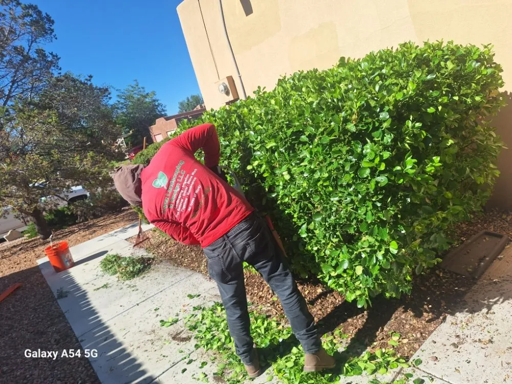 Affordable residential landscaping in Santa Fe, NM by Lopez Landscaping & Design