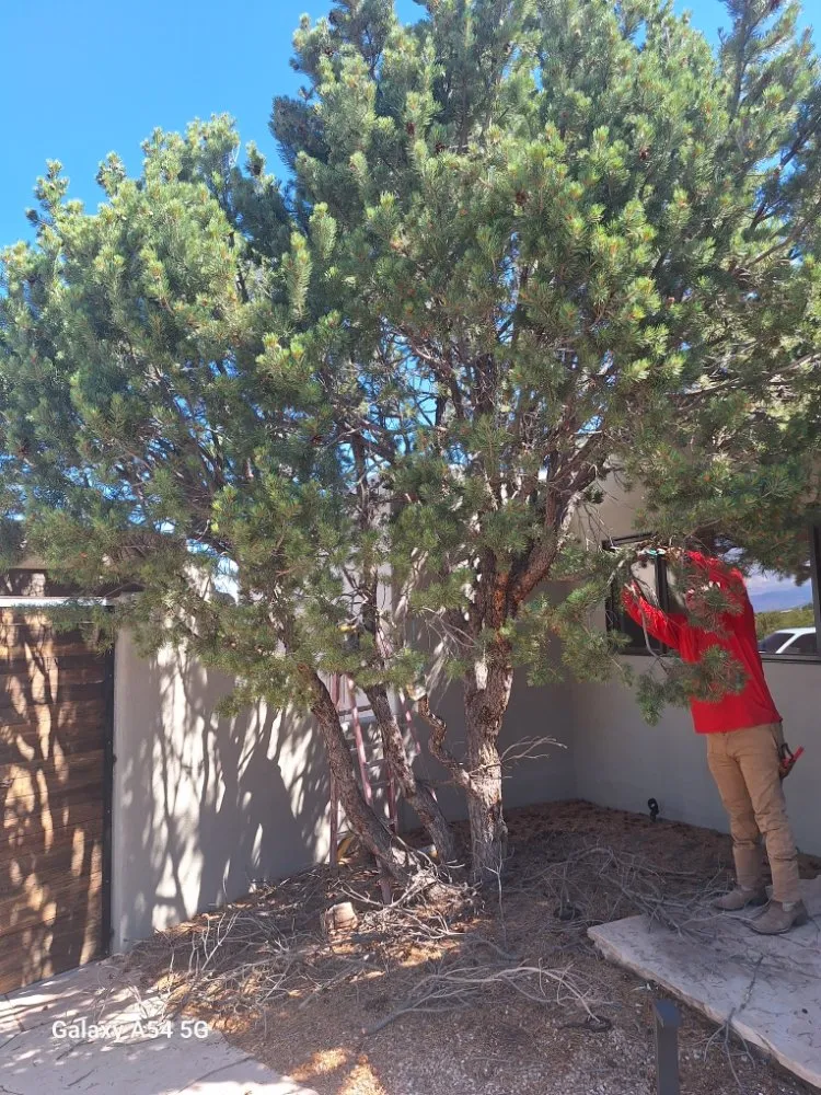 Local landscaping services in Santa Fe, NM by Lopez Landscaping & Design