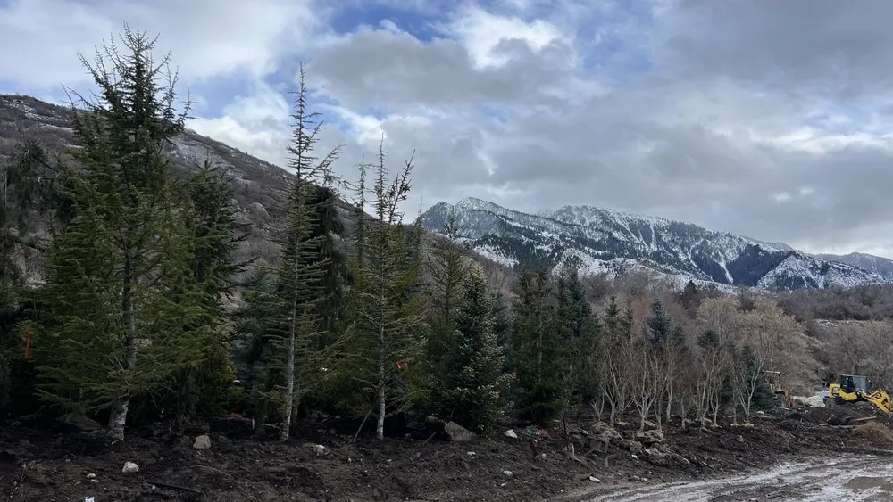 Expert outdoor landscaping with custom design in Bluffdale, UT by Lopez Landscaping & Maintenance