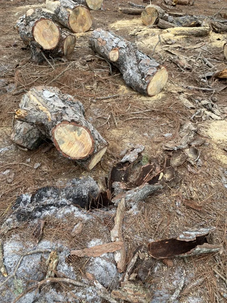 Expert yard maintenance in Indiantown, FL - Lopez Landscaping & Maintenance