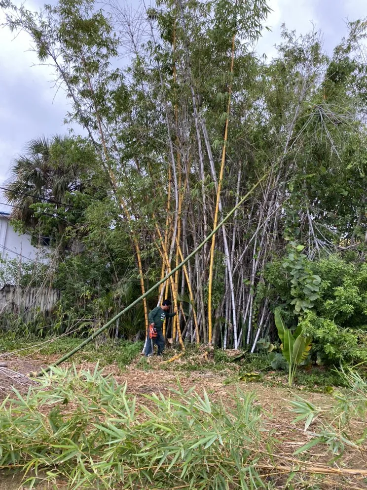 Affordable residential landscaping for beautiful yards across Indiantown, FL - Lopez Landscaping & Maintenance