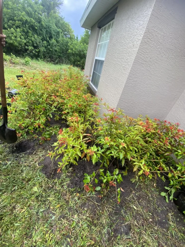 Reliable yard maintenance for year-round maintenance in Indiantown, FL by Lopez Landscaping & Maintenance
