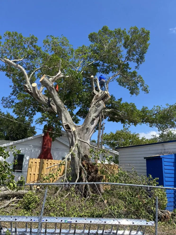 Custom landscaping services in Indiantown, FL by Lopez Landscaping & Maintenance