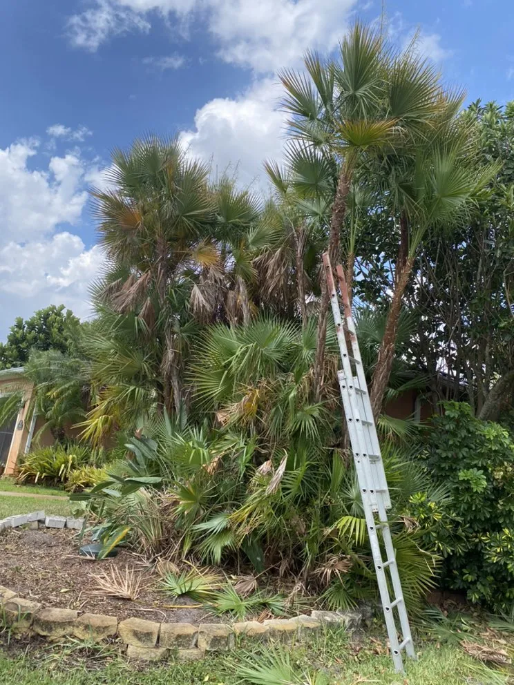 Top-rated garden landscaping in Indiantown, FL by Lopez Landscaping & Maintenance