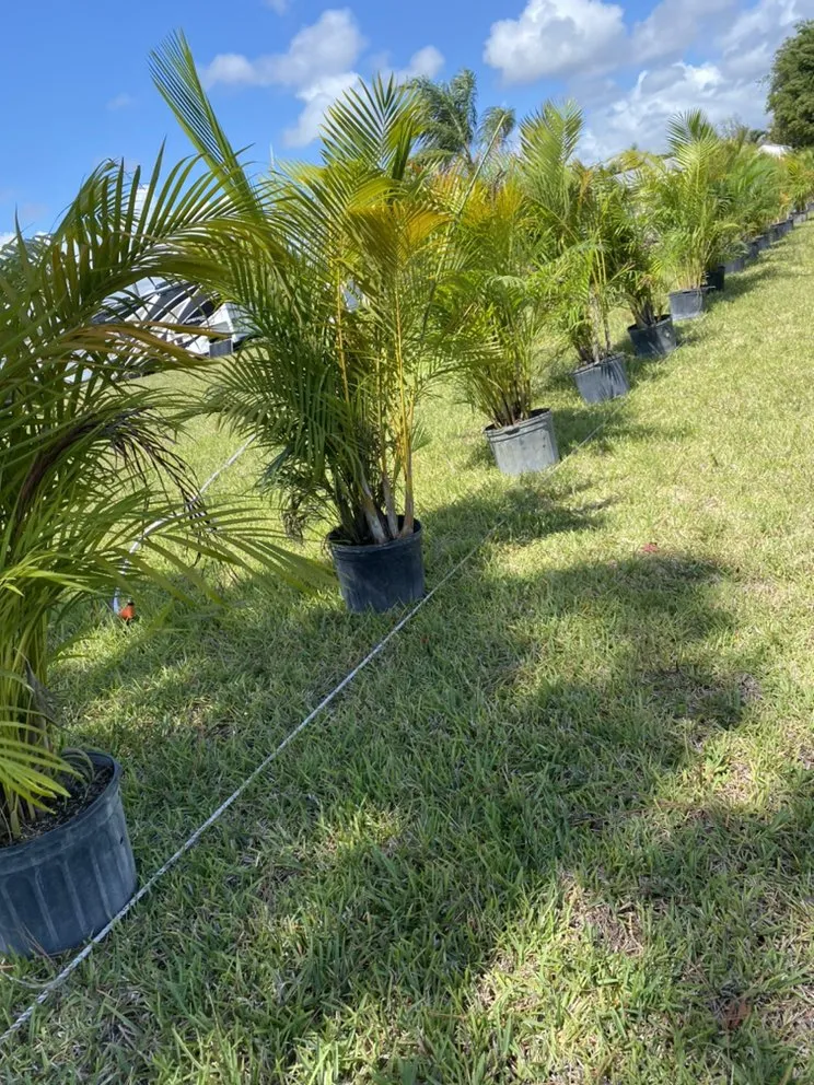 Professional residential landscaping for homes in Indiantown, FL by Lopez Landscaping & Maintenance