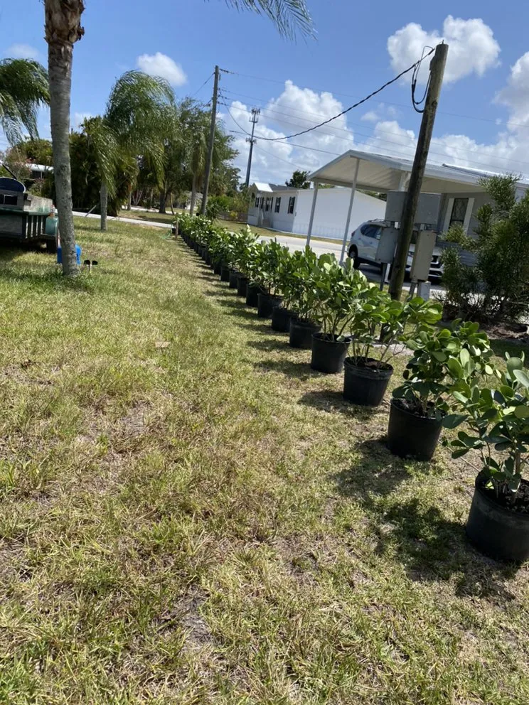Top-rated residential landscaping with custom design in Indiantown, FL by Lopez Landscaping & Maintenance