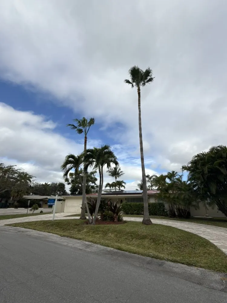 Expert yard maintenance in Hollywood, FL by Lopez Landscaping & Maintenance of Broward