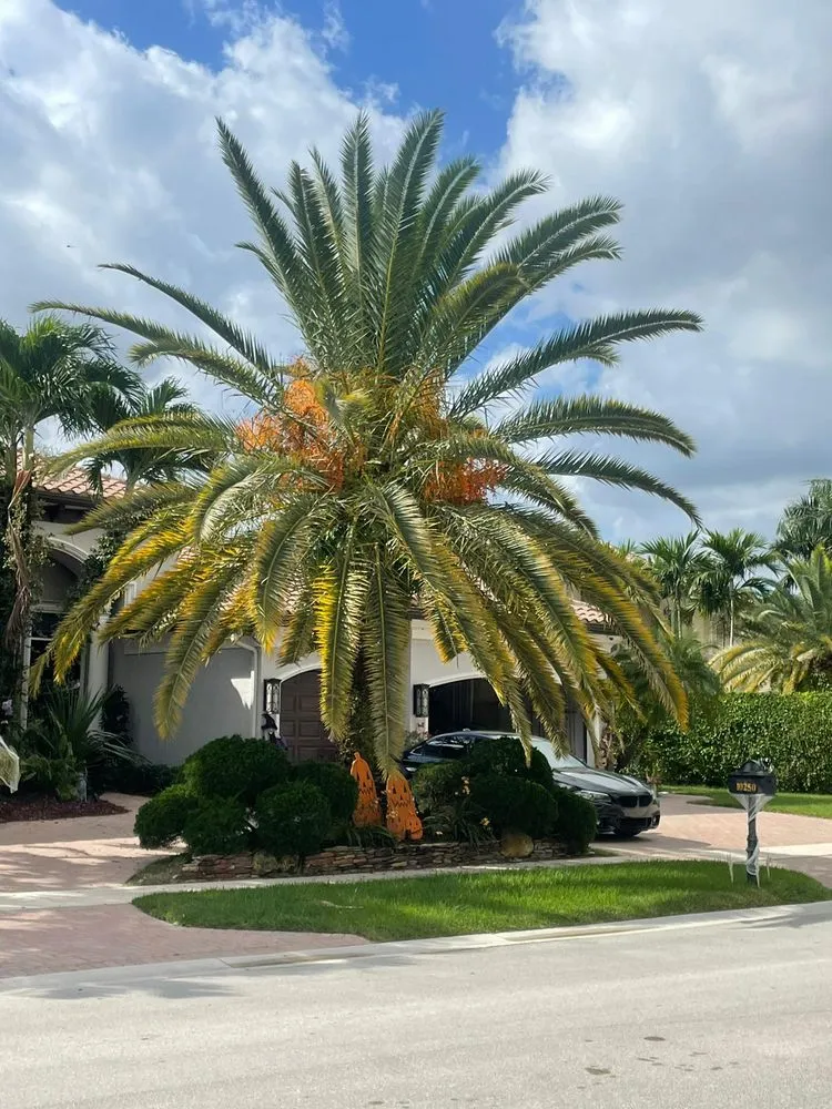 Trusted landscape design in Hollywood, FL - Lopez Landscaping & Maintenance of Broward