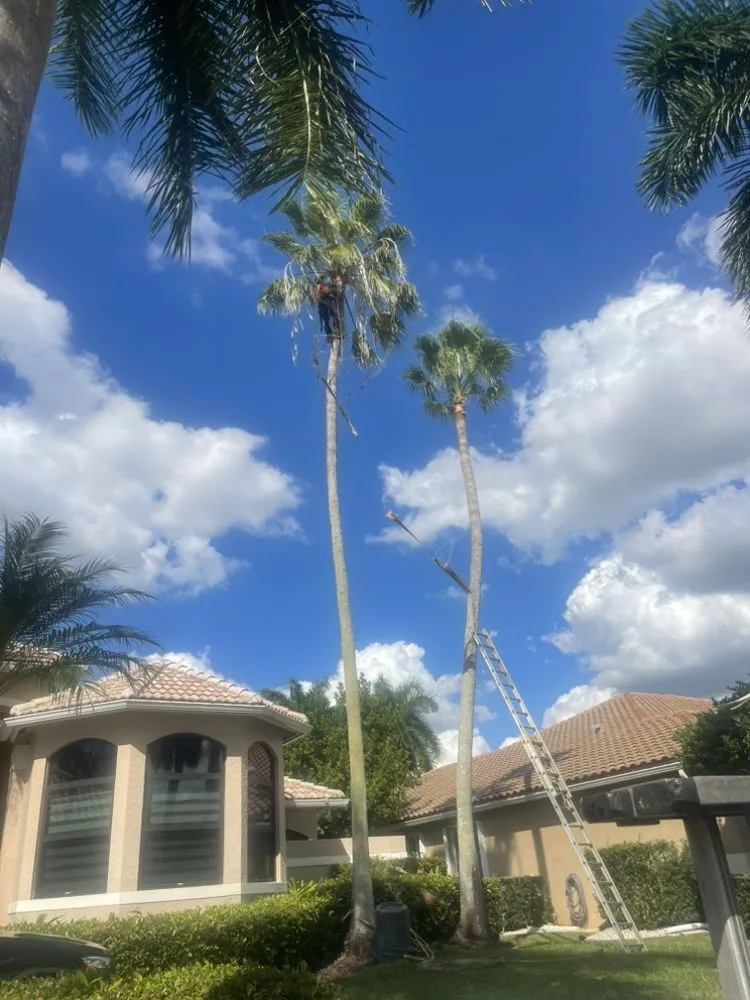 Reliable garden landscaping in Hollywood, FL by Lopez Landscaping & Maintenance of Broward