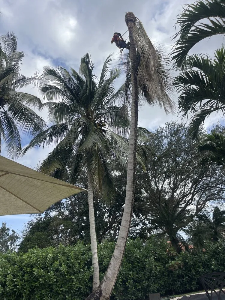 Reliable landscape installation near you across Hollywood, FL - Lopez Landscaping & Maintenance of Broward