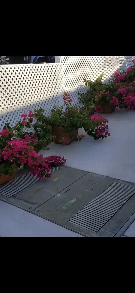 Reliable landscaping services near you across Antioch, CA - Lopez Landscaping & Pool Services