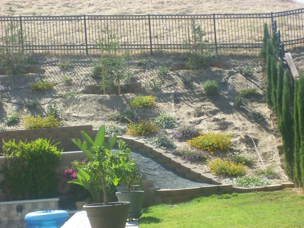Affordable landscape installation in Antioch, CA - Lopez Landscaping & Pool Services