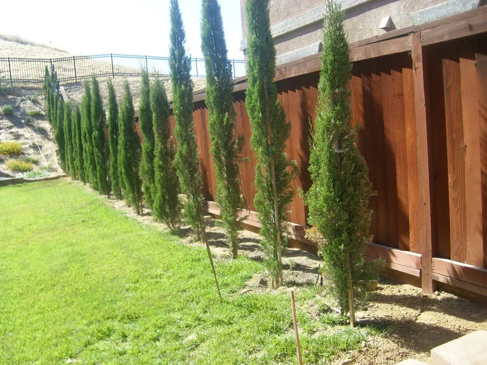 Local landscaping services for homes across Antioch, CA - Lopez Landscaping & Pool Services