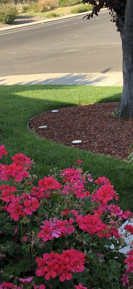Top-rated garden landscaping for beautiful yards in Antioch, CA by Lopez Landscaping & Pool Services