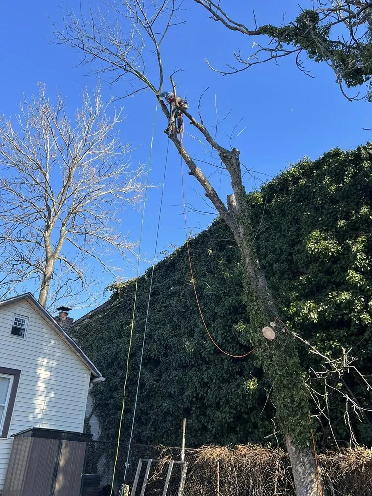 Top-rated lawn care service in Boothwyn, PA by Lopez Landscaping & Solution