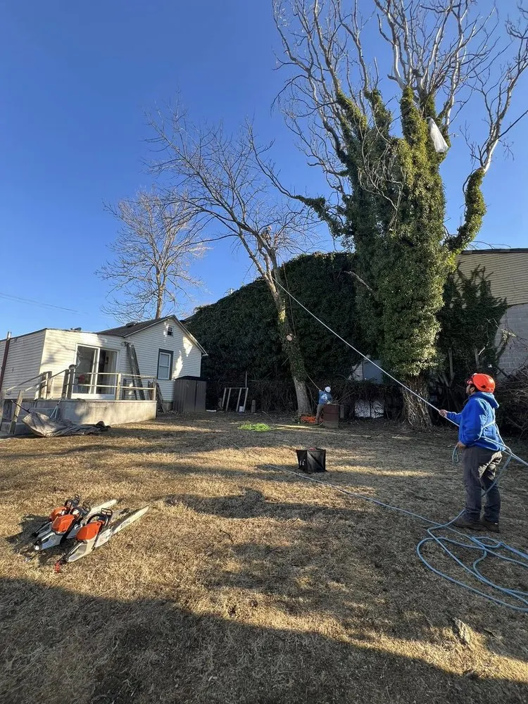 Affordable landscaping services for outdoor upgrades across Boothwyn, PA - Lopez Landscaping & Solution