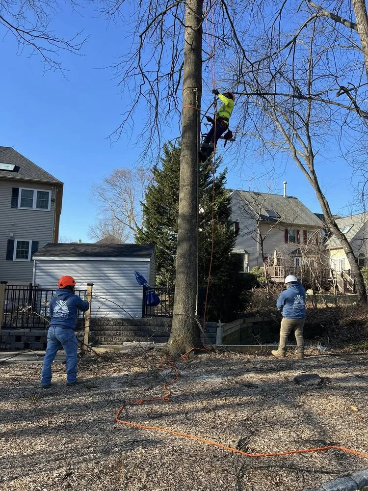 Professional lawn care service for outdoor upgrades across Boothwyn, PA - Lopez Landscaping & Solution