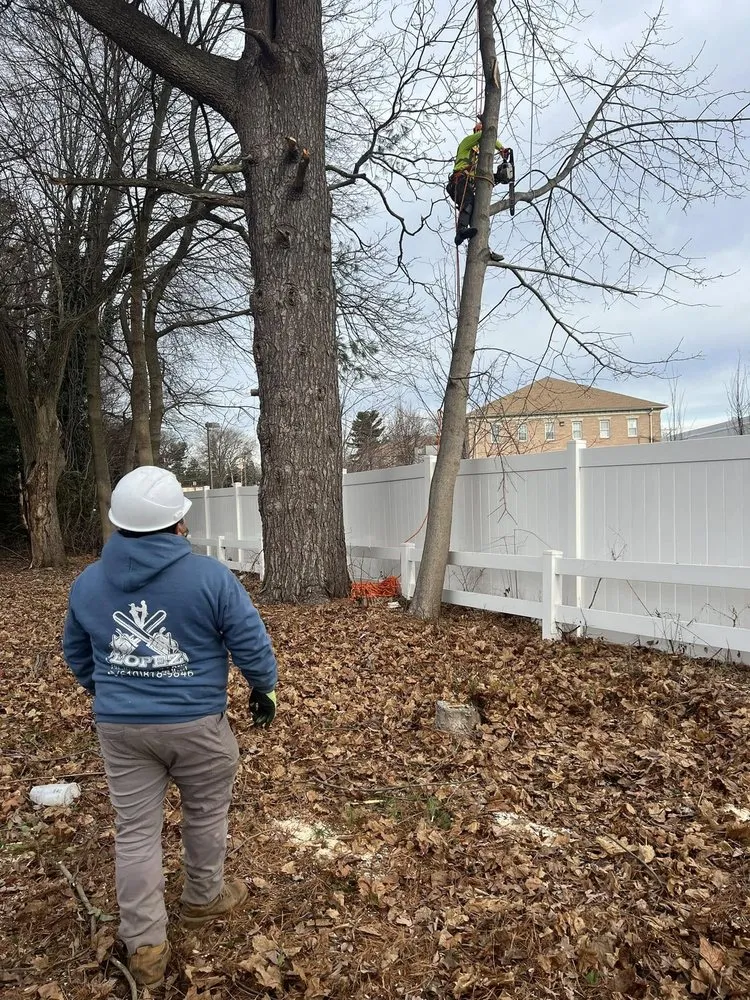 Top-rated lawn care service in Boothwyn, PA by Lopez Landscaping & Solution