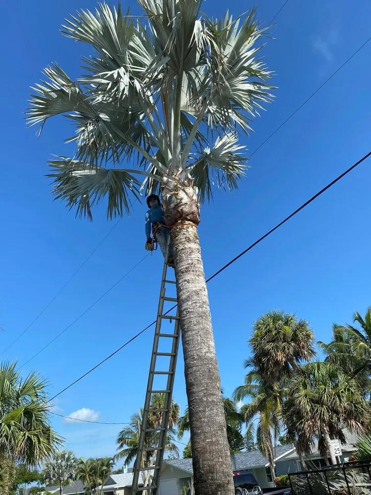 Trusted lawn care service in Melbourne, FL by Lopez Landscaping & Tree Service