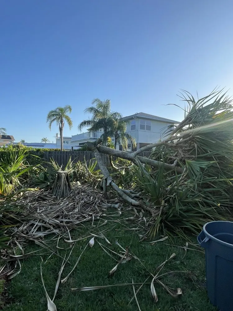 Top-rated garden landscaping in Melbourne, FL - Lopez Landscaping & Tree Service