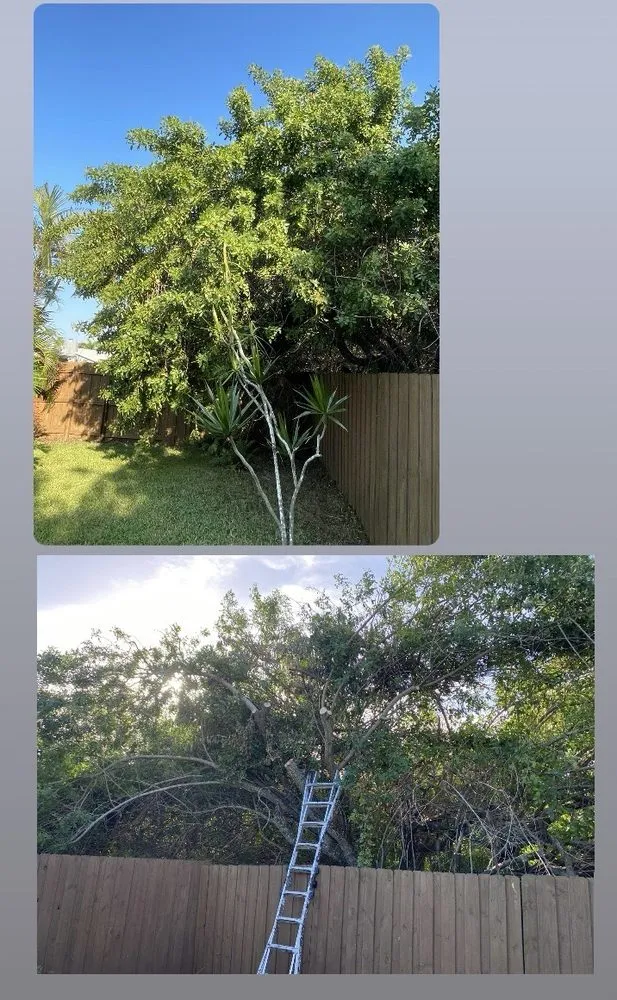 Custom yard cleanup service for year-round maintenance in Melbourne, FL by Lopez Landscaping & Tree Service