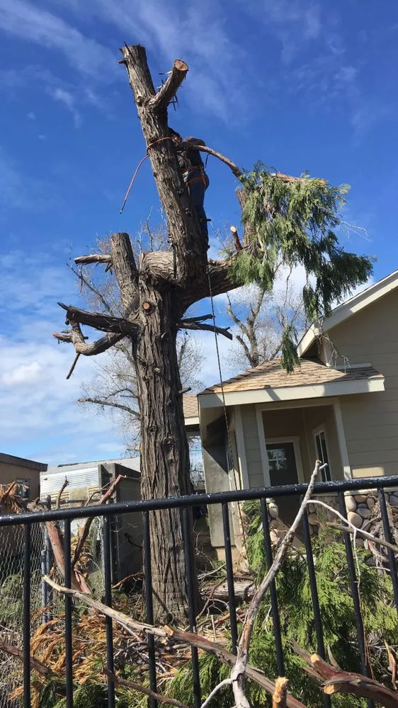 Affordable yard maintenance experts serving Delhi, CA - Lopez Landscaping & Yard Maintenance