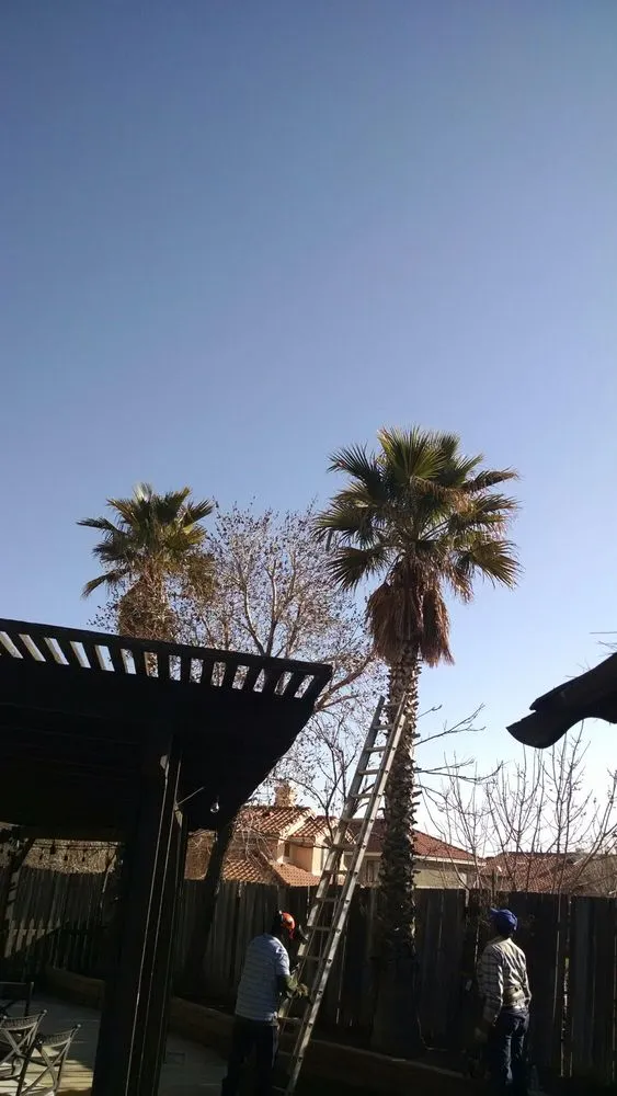 Custom lawn mowing service for homes in Acton, CA by Lopez Landscaping