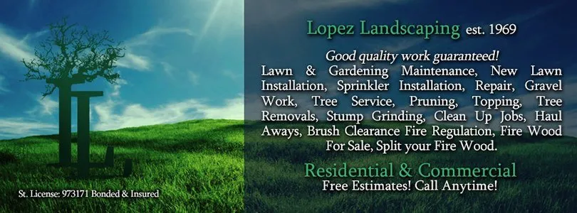 Reliable lawn care service experts serving Acton, CA - Lopez Landscaping