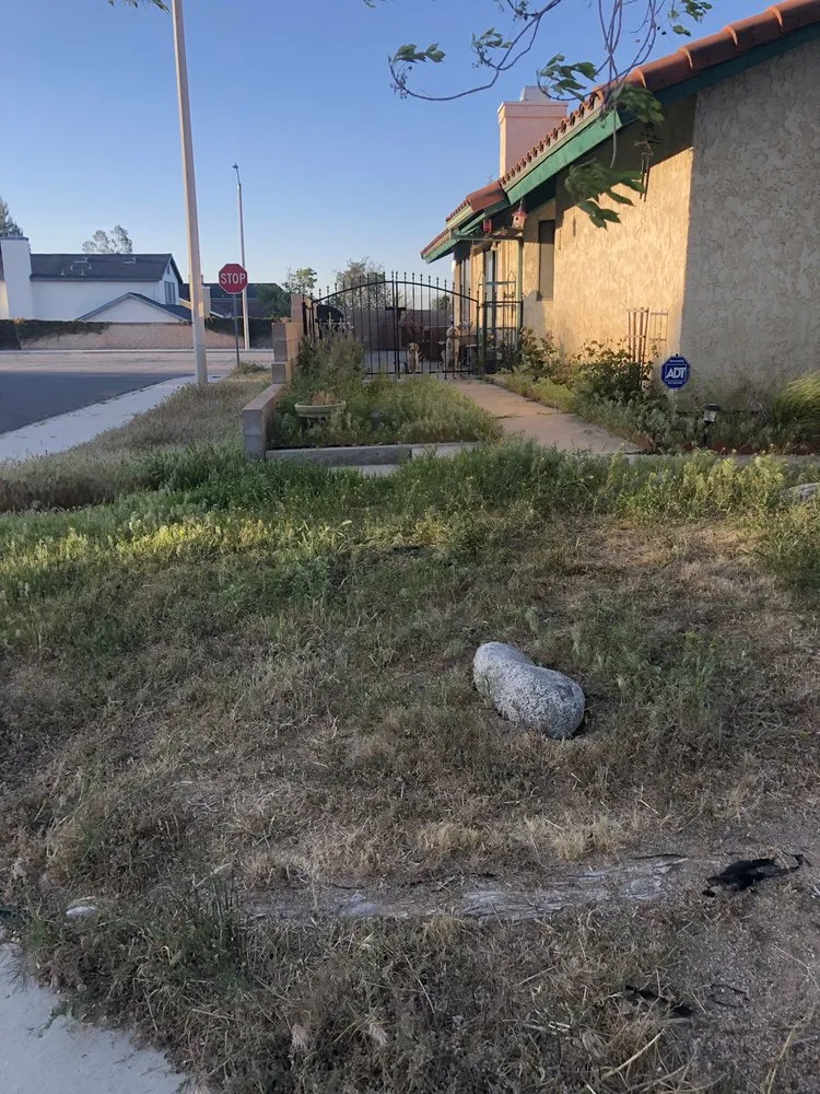 Custom landscape design experts serving Acton, CA - Lopez Landscaping