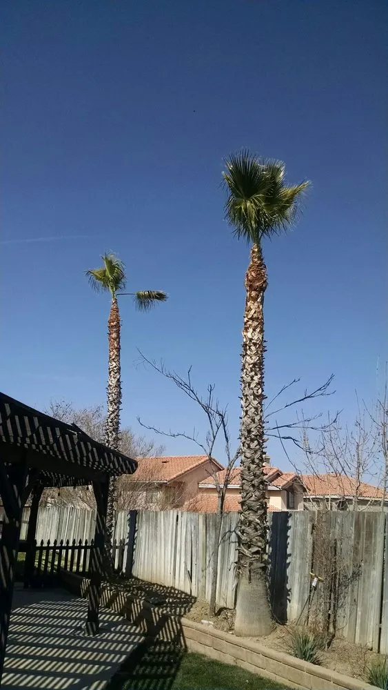 Custom lawn mowing service in Acton, CA - Lopez Landscaping