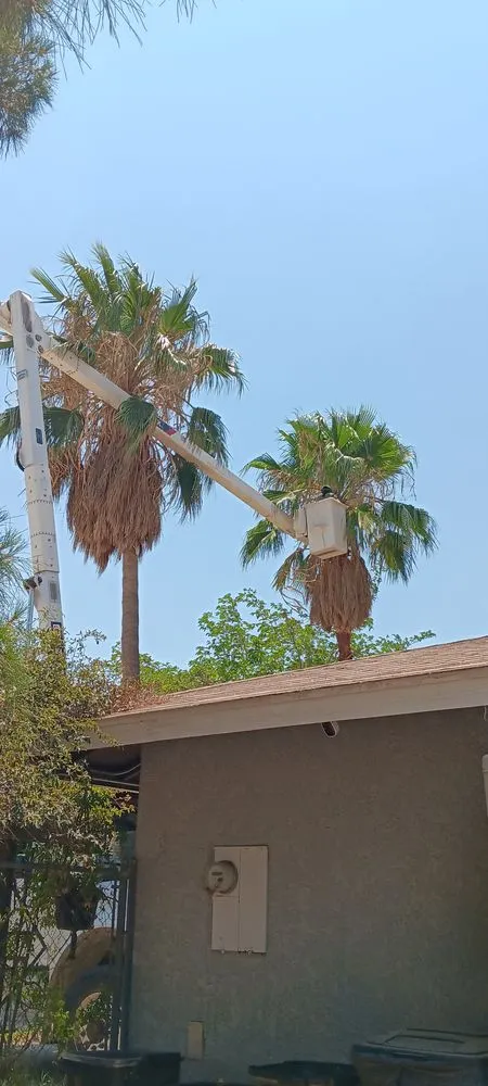 Custom garden landscaping near you in Acton, CA by Lopez Landscaping