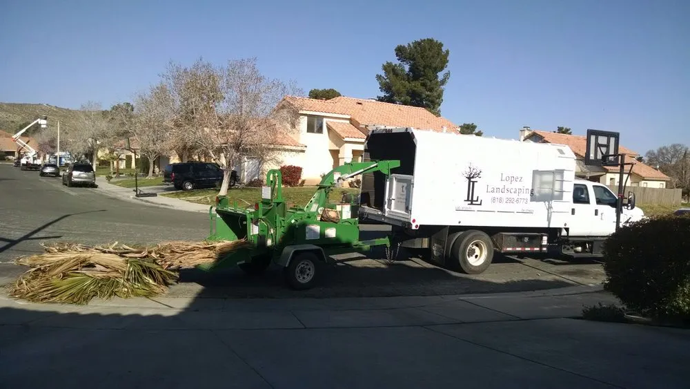 Reliable lawn care service in Acton, CA by Lopez Landscaping