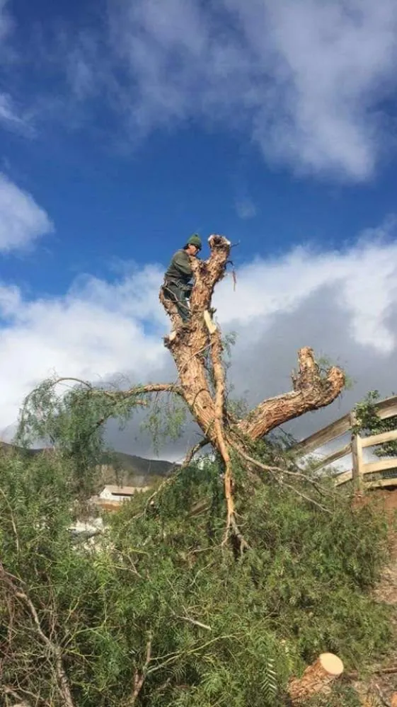 Trusted landscape installation experts serving Acton, CA - Lopez Landscaping