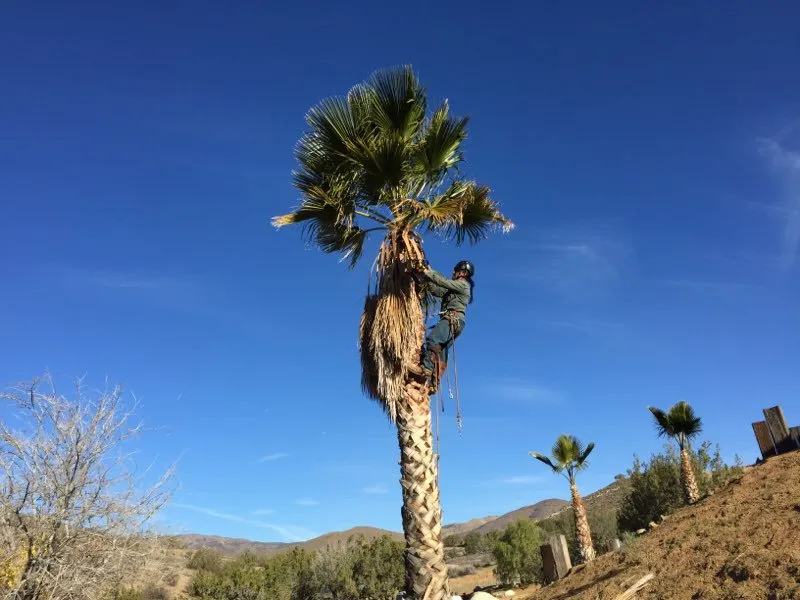 Trusted residential landscaping for outdoor upgrades in Acton, CA by Lopez Landscaping