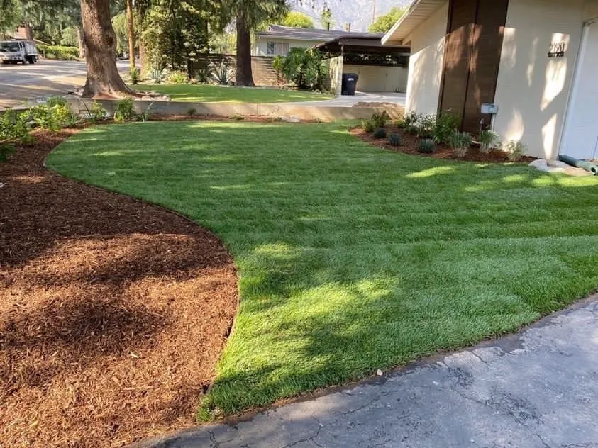 Local yard cleanup service with custom design in Altadena, CA by Lopez Landscaping