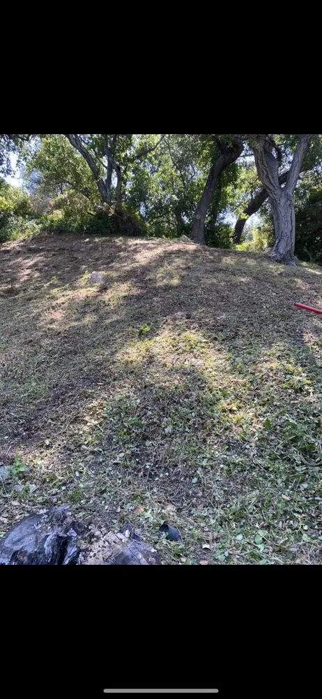 Affordable landscaping services for residential properties across Altadena, CA - Lopez Landscaping