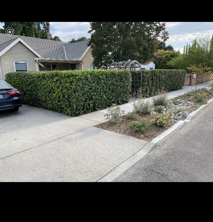 Local outdoor landscaping in Altadena, CA by Lopez Landscaping