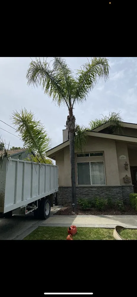 Affordable landscaping services for residential properties in Altadena, CA by Lopez Landscaping