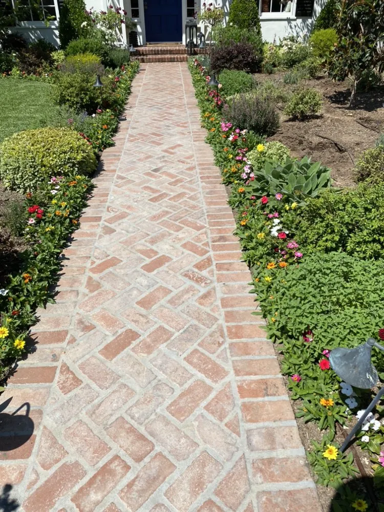 Professional landscaping services experts serving Altadena, CA - Lopez Landscaping