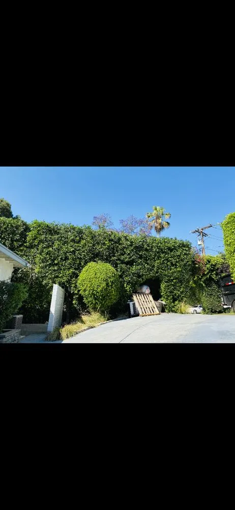 Reliable lawn care service for homes across Altadena, CA - Lopez Landscaping