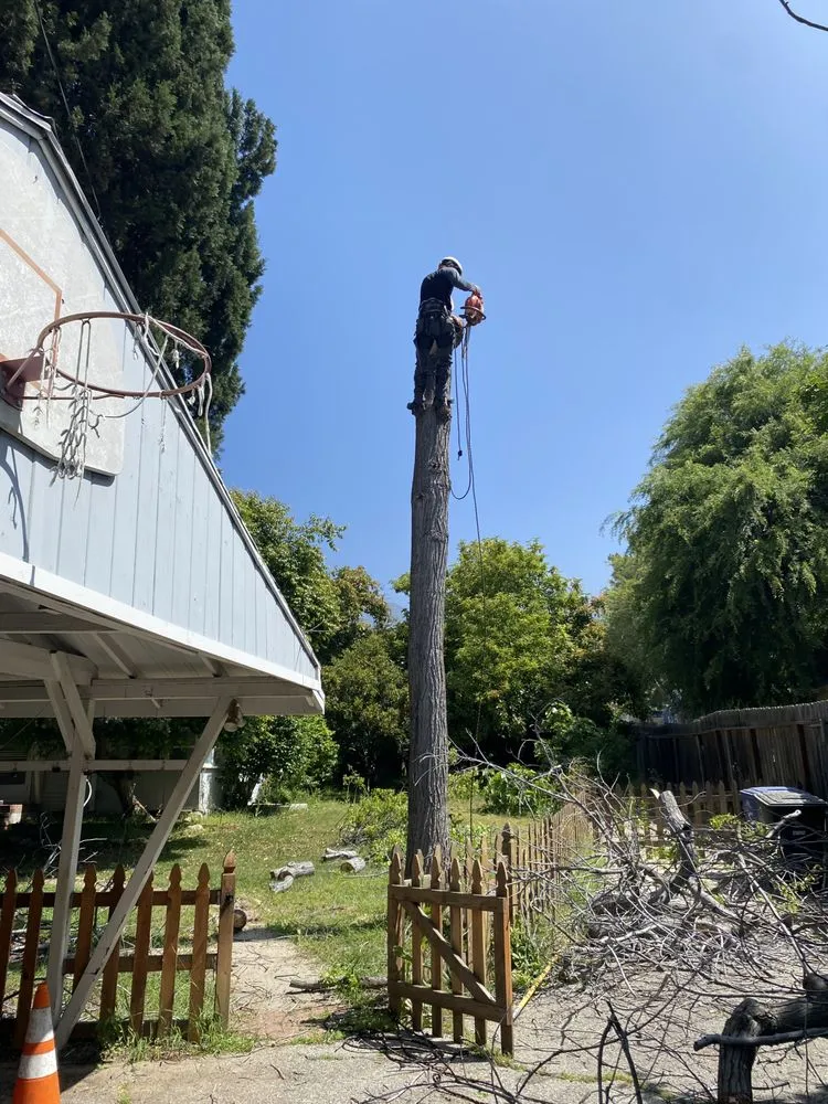 Local landscape design experts serving Altadena, CA - Lopez Landscaping