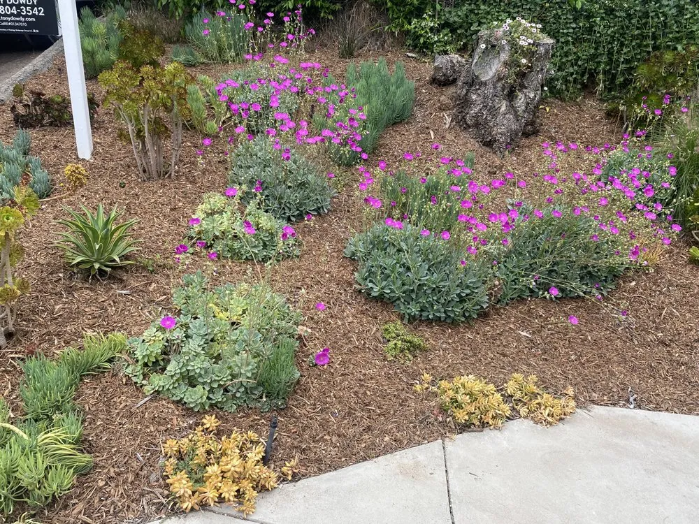 Expert residential landscaping for year-round maintenance across Altadena, CA - Lopez Landscaping