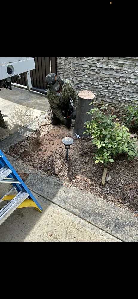 Top-rated yard cleanup service in Altadena, CA - Lopez Landscaping