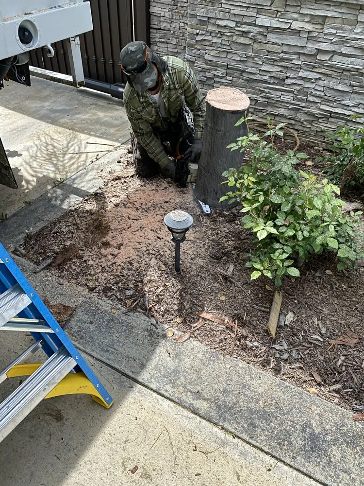 Trusted lawn mowing service in Altadena, CA by Lopez Landscaping