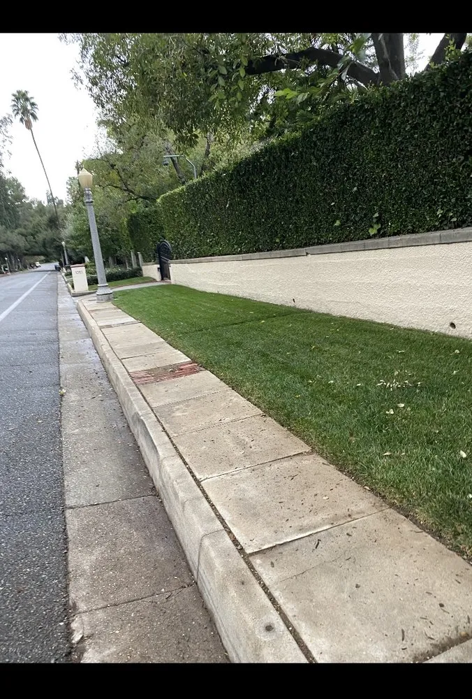 Custom landscape installation for year-round maintenance in Altadena, CA by Lopez Landscaping